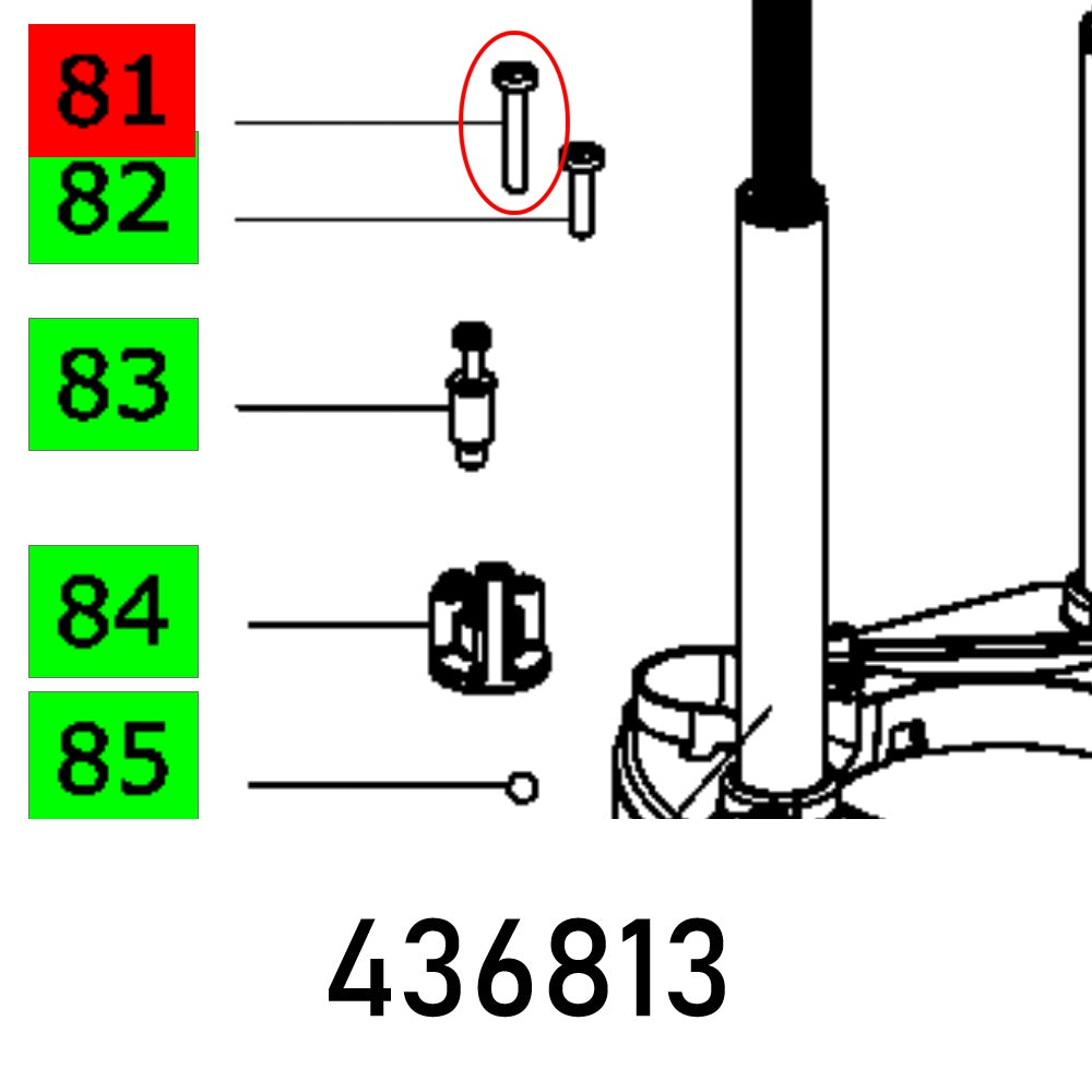 festool-flat-head-screw-din-85-m5x30-4.8-long-fes436813-1